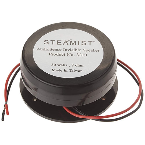 Steamist 0913 Speaker